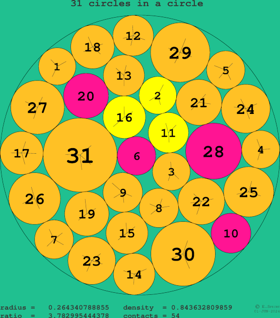 31 circles in a circle