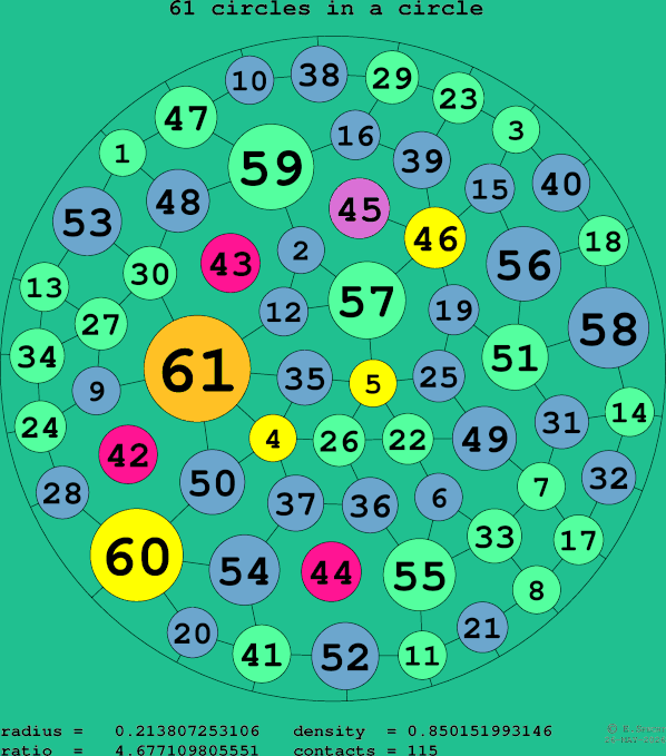 61 circles in a circle