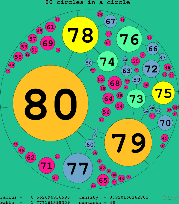 80 circles in a circle