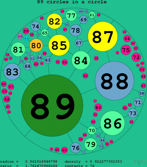 89 circles in a circle