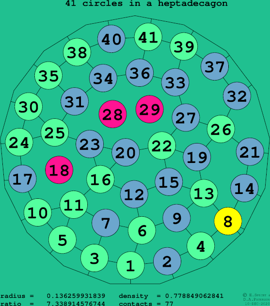 41 circles in a regular heptadecagon