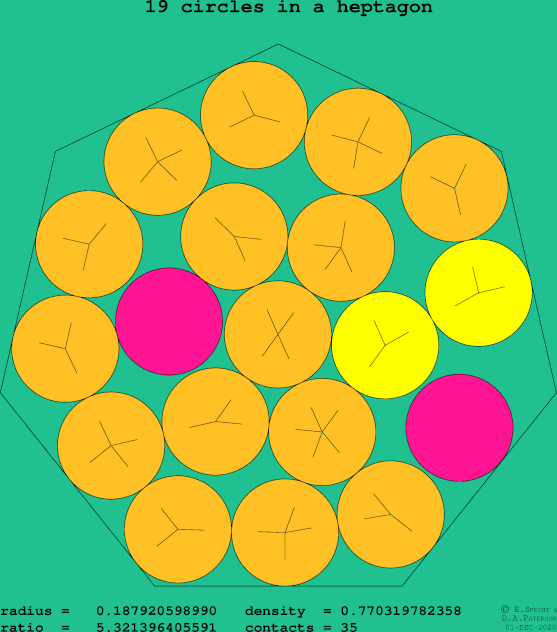 19 circles in a regular heptagon