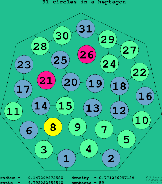 31 circles in a regular heptagon