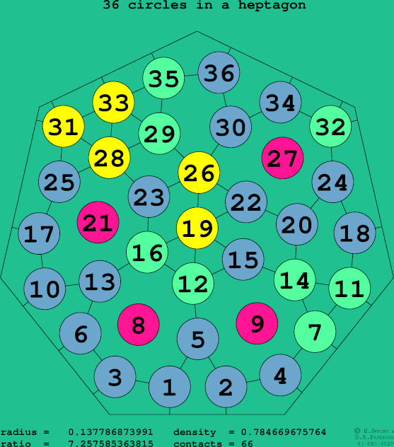 36 circles in a regular heptagon