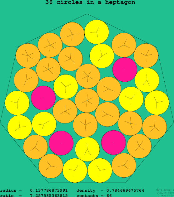36 circles in a regular heptagon