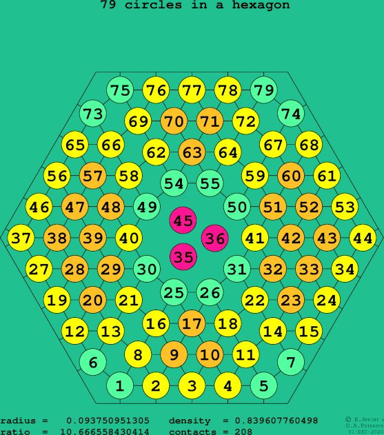 79 circles in a regular hexagon