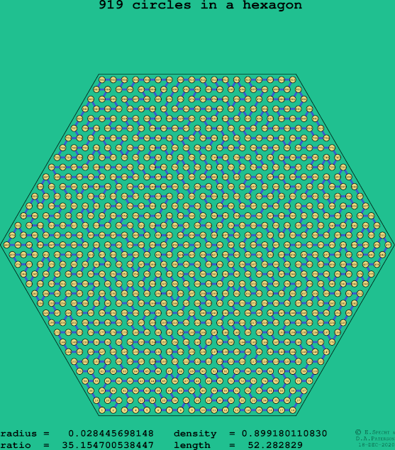 919 circles in a regular hexagon