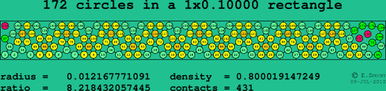 172 circles in a rectangle