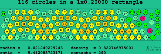 116 circles in a rectangle