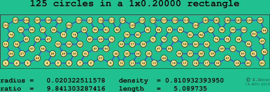 125 circles in a rectangle