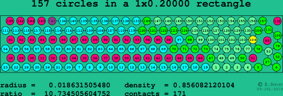 157 circles in a rectangle