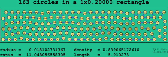 163 circles in a rectangle
