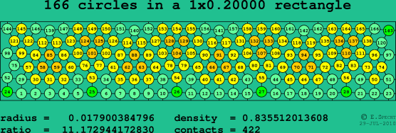 166 circles in a rectangle