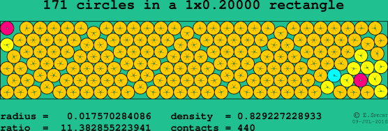 171 circles in a rectangle