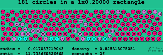 181 circles in a rectangle