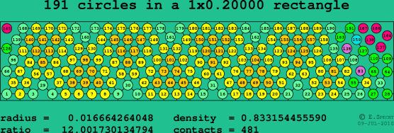 191 circles in a rectangle