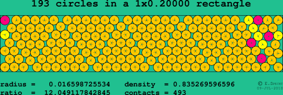 193 circles in a rectangle