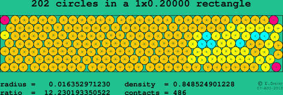 202 circles in a rectangle