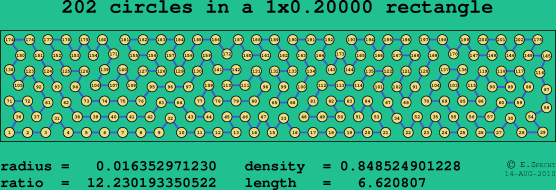 202 circles in a rectangle