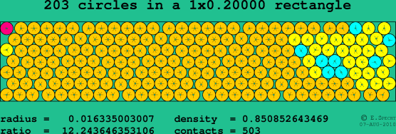 203 circles in a rectangle