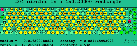 204 circles in a rectangle