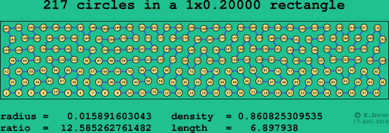 217 circles in a rectangle