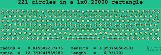 221 circles in a rectangle