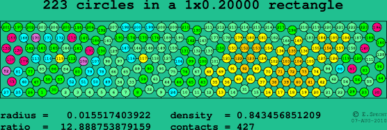 223 circles in a rectangle
