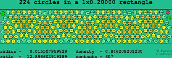 224 circles in a rectangle