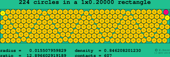 224 circles in a rectangle