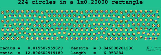 224 circles in a rectangle