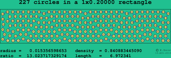 227 circles in a rectangle