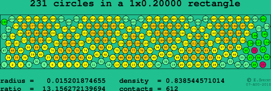 231 circles in a rectangle
