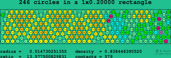 246 circles in a rectangle