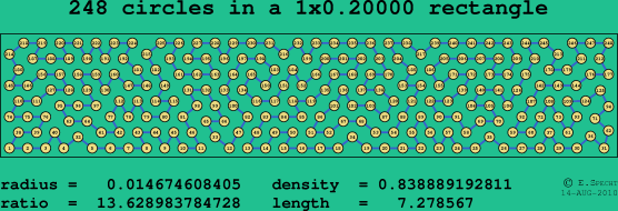 248 circles in a rectangle