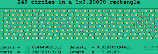 249 circles in a rectangle