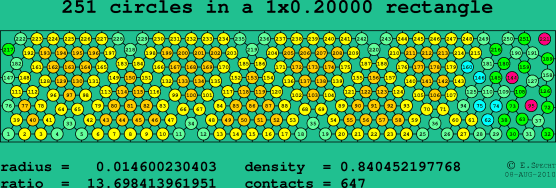 251 circles in a rectangle