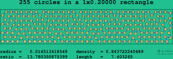 255 circles in a rectangle