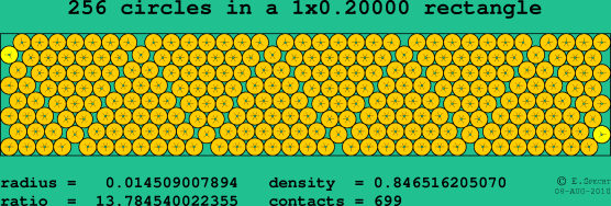 256 circles in a rectangle