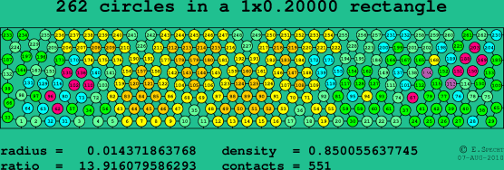 262 circles in a rectangle