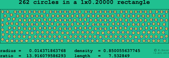 262 circles in a rectangle