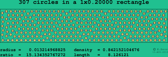 307 circles in a rectangle