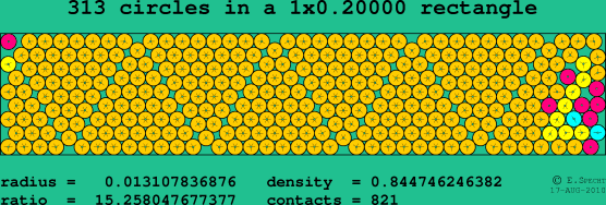 313 circles in a rectangle