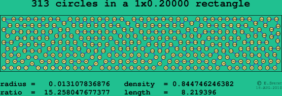 313 circles in a rectangle