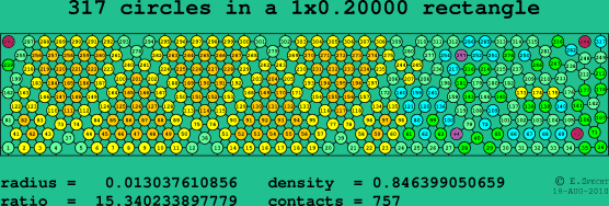 317 circles in a rectangle