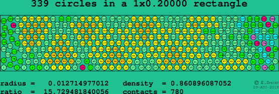 339 circles in a rectangle