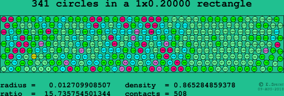 341 circles in a rectangle