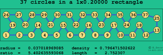 37 circles in a rectangle