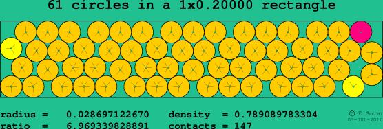 61 circles in a rectangle