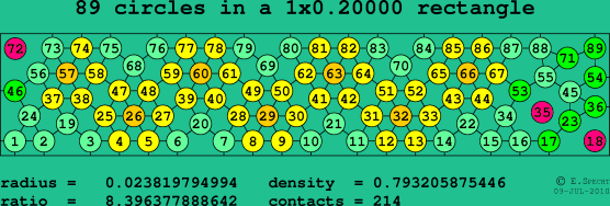 89 circles in a rectangle